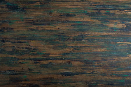 fons, arbre, fusta, textura, textura de fusta, fons de fusta, verd