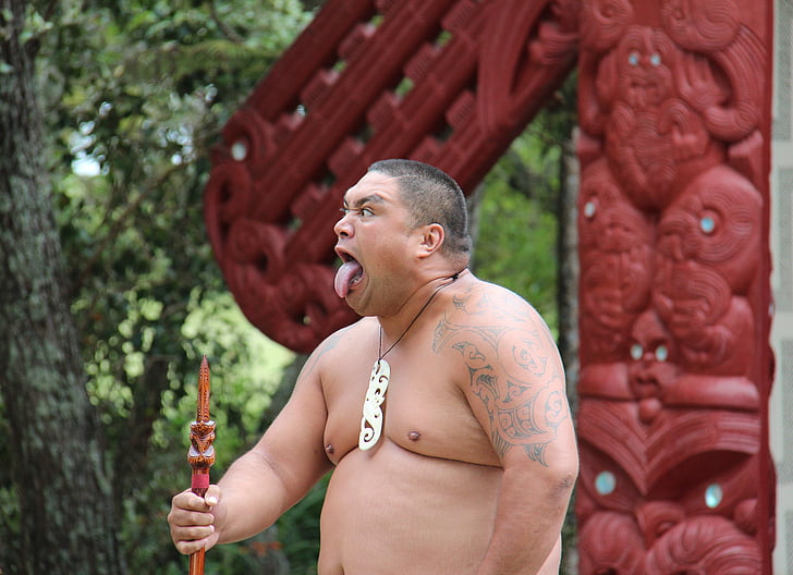 Maorí, hombre, hacer una cara, Nueva Zelanda, cultura, tradición, Waitangi