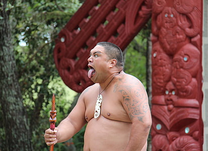 Maoru, vīrietis, veicot sejas, Jaunzēlande, kultūra, tradīcija, Waitangi