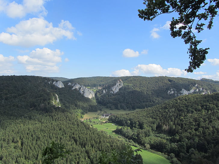 Vall del Danubi, Senderisme, beuron, natura, arbre, bosc, muntanya