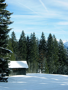 śnieg, zimowe, Riezlern, jodły, Hut, niebo, niebieski