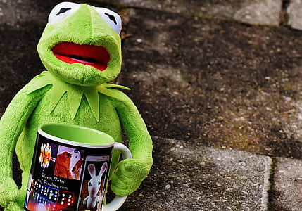 Kermit, Beker, drink koffie, koffiekopje, grappig, schattig, pauze