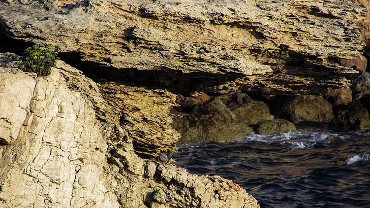 rock, sharp, wild, sea, nature, geology, cyprus
