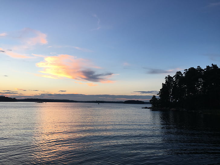 solnedgång, Finland, Helsingfors, stranden, träd