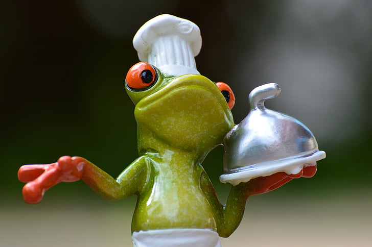青蛙, 烹饪, 吃, 厨房, 美食, 食品, 制备