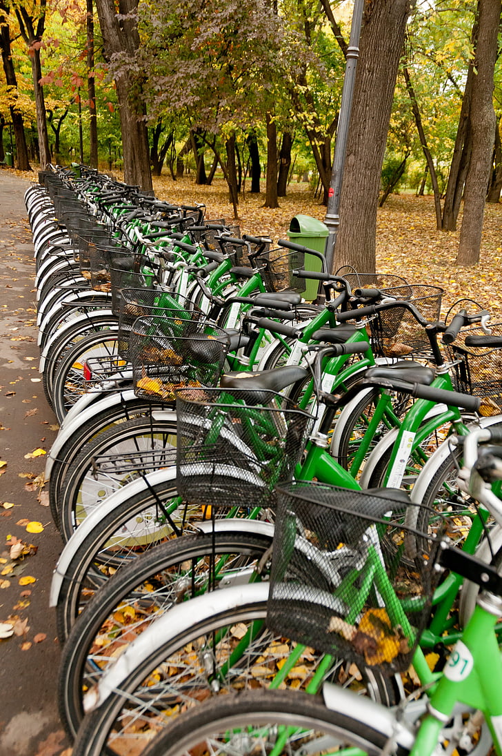 bicycles, rental, cycling, sport, urban, public, row