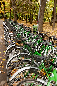 bicicletes, Lloguer, Ciclisme, esport, urbà, públic, fila