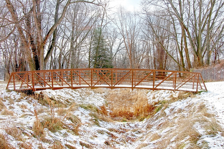footbridge, winter, snow, cold, ice, season, stream