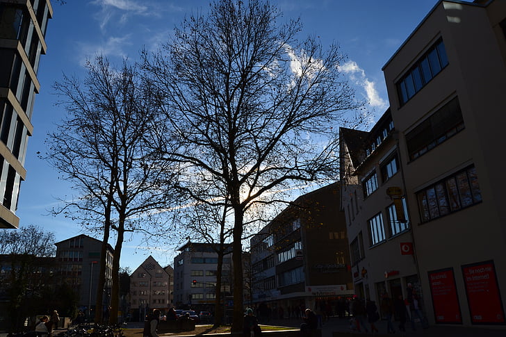 Ulm, drzewo, Stadtmitte, Architektura, miejski scena, na zewnątrz budynku, zbudowana konstrukcja