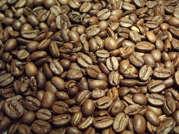 kaffe, bønner, kaffebønner, koffein, brun, stekt, cappuccino