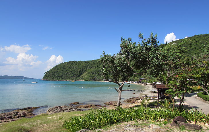 oceano, acqua, mare, estate, spiaggia, cielo, blu