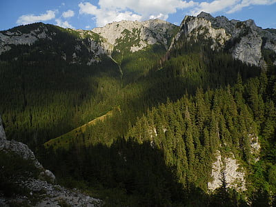 montañas, naturaleza, paisaje, Ver, Polonia, vista superior