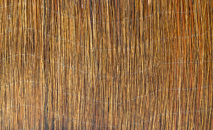 Reed, staket, konsistens, mönster, naturen, väggen
