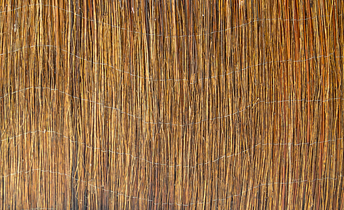 Reed, cerca, textura, padrão, natureza, parede