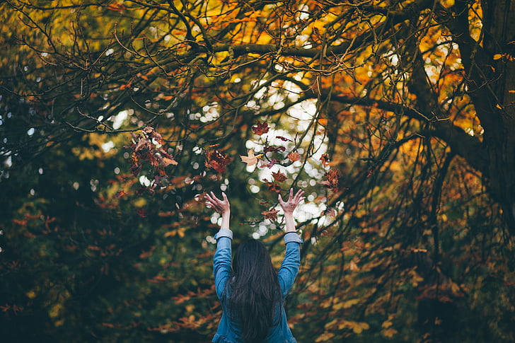 mulher, blazer, Maple, árvore, Outono, folhas, queda de outono