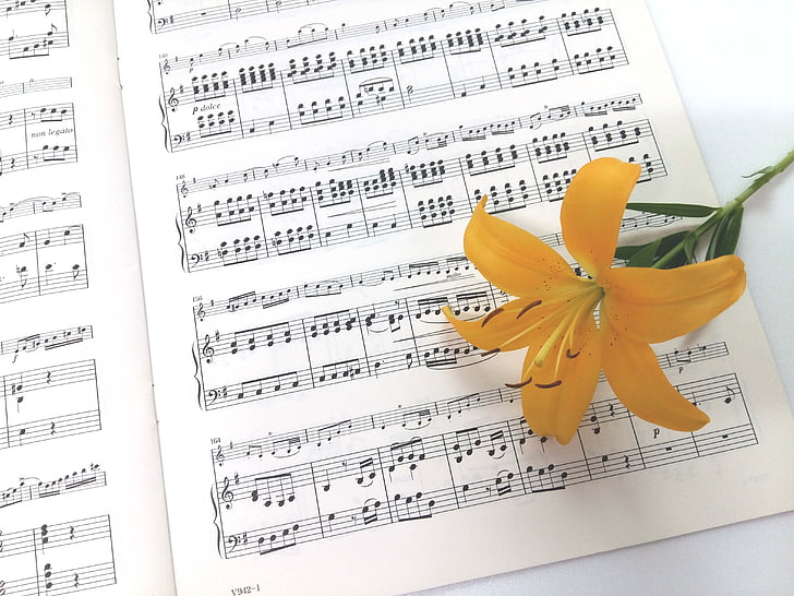 sheet music, yellow naira, flowers