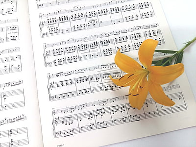 bladmuziek, gele naira, bloemen