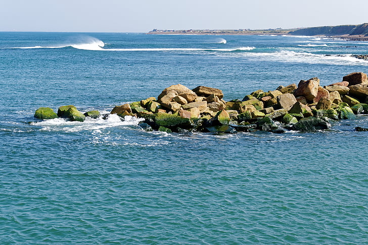 laut, batu, gelombang, surfing, alam, langit, air