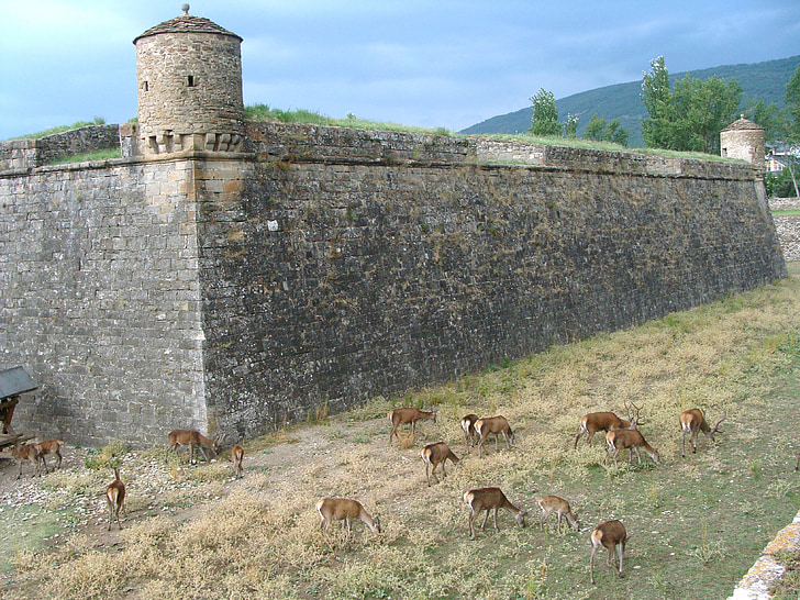 Citadel, befæstning, Jespersen, Huesca, Jacetania