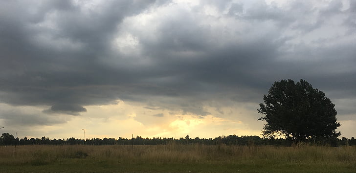 landscape, sky, clouds, sunset, nature, beautiful, tree