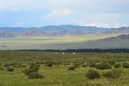 mongolia, steppe, yurts, altai
