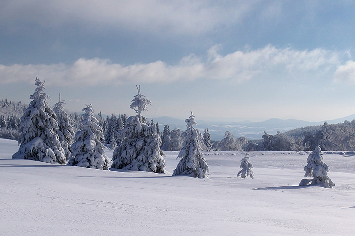 Winter, Schnee, Panorama, Wald, Bäume, Frost, Berge