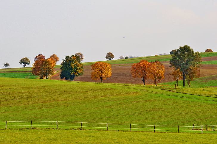 landscape, autumn, trees, nature, fall foliage, meadow, agriculture