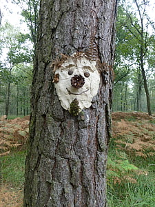 Baum-Gesicht, Baum-Geist, Gesicht, lustig, Kiefer, Wald, Rinde