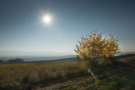 дерево, страна, Осень, Словакия, Листва, Солнце, Природа