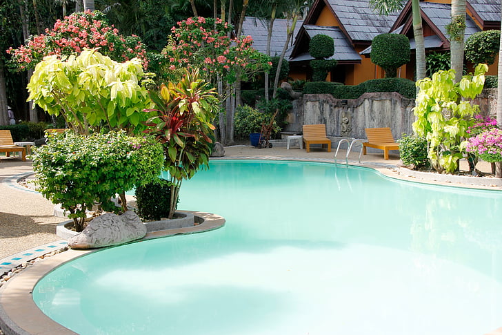 vand, refleksion, pool, ferie, svømme, palmer, Hotel