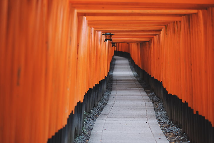 path, pathway, distance, covered, covered path, depth, orange color