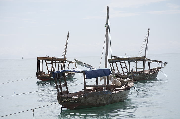 Dhow čolni, Tanzanija, Afrika