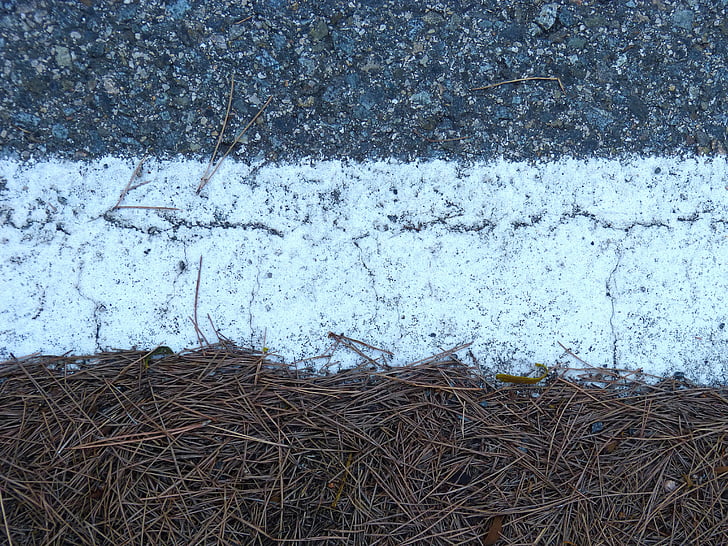 teksturer, asfalt, fyrrenåle, online