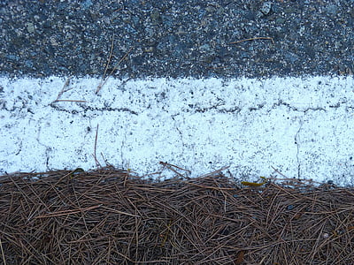 texturi, asfalt, ace de pin, online