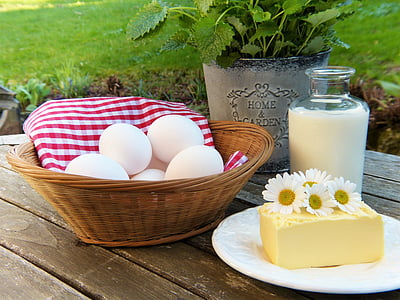 uovo, latte, burro, fuori, giardino, erbe, Frisch