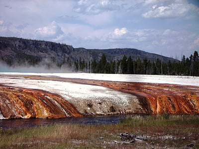 Yellowstone, Národný park, gejzír, Príroda, Príroda, Forest, vonku