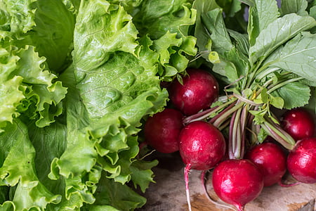 Rabanillo, verduras, saludable, alimentos, fresco, orgánica, verde