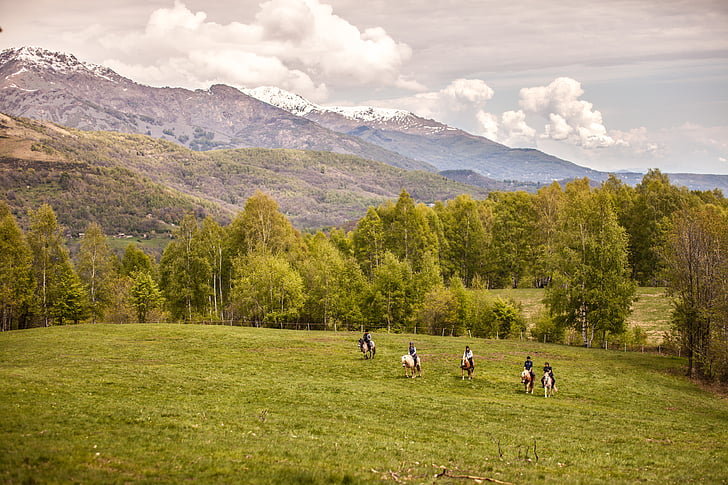 animales, Chiusella Valle, caballos, Italia, paisaje, montañas, naturaleza