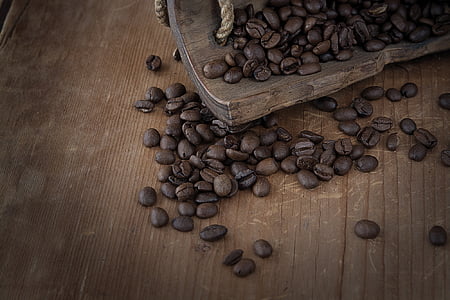 café, grãos de café, assado, cafeína, seca, marrom, escuro