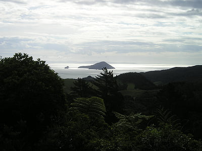 Nový Zéland, ostrovy, Back light, Príroda, Severný ostrov, Príroda, scenics