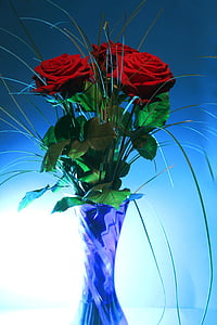 rose, vase, blue, light, back light, pink rose, salmon