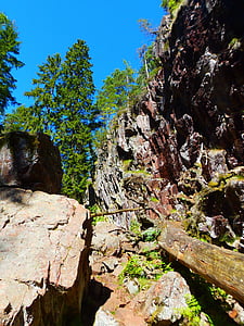Švédsko, prírodná rezervácia, skaly, Sky, strom