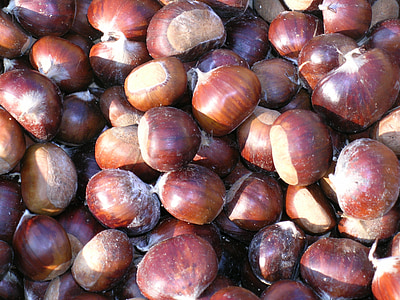 chestnut, musim gugur, buah