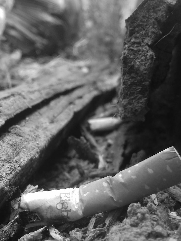 imatge, enfocament, cigarret, burilla de cigarret, natura