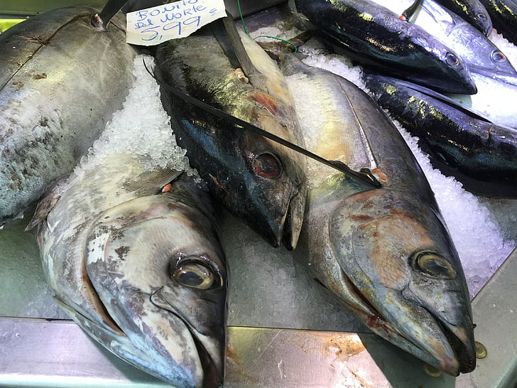 риби, морепродукти, здоровий, кухня