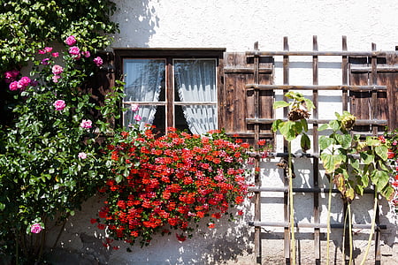 селска къща, Бавария, Горна Бавария, стар, селски, дървен материал, цвете кутия