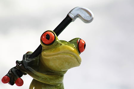 青蛙, 高尔夫, 高尔夫俱乐部, 绿色的小青蛙, 有趣, 可爱, 运动