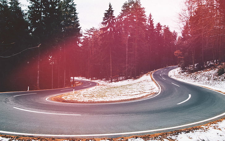 road, travel, adventure, trees, woods, forest, curve