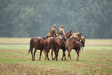 horses, battle of, the military, uniform, defense, the war, the army