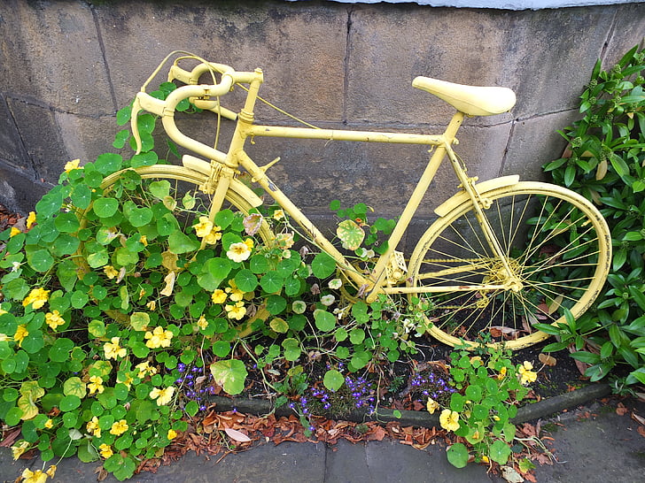 kerékpár, sárga, régi, kerekek, kerékpár, virágok, lombozat